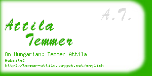 attila temmer business card